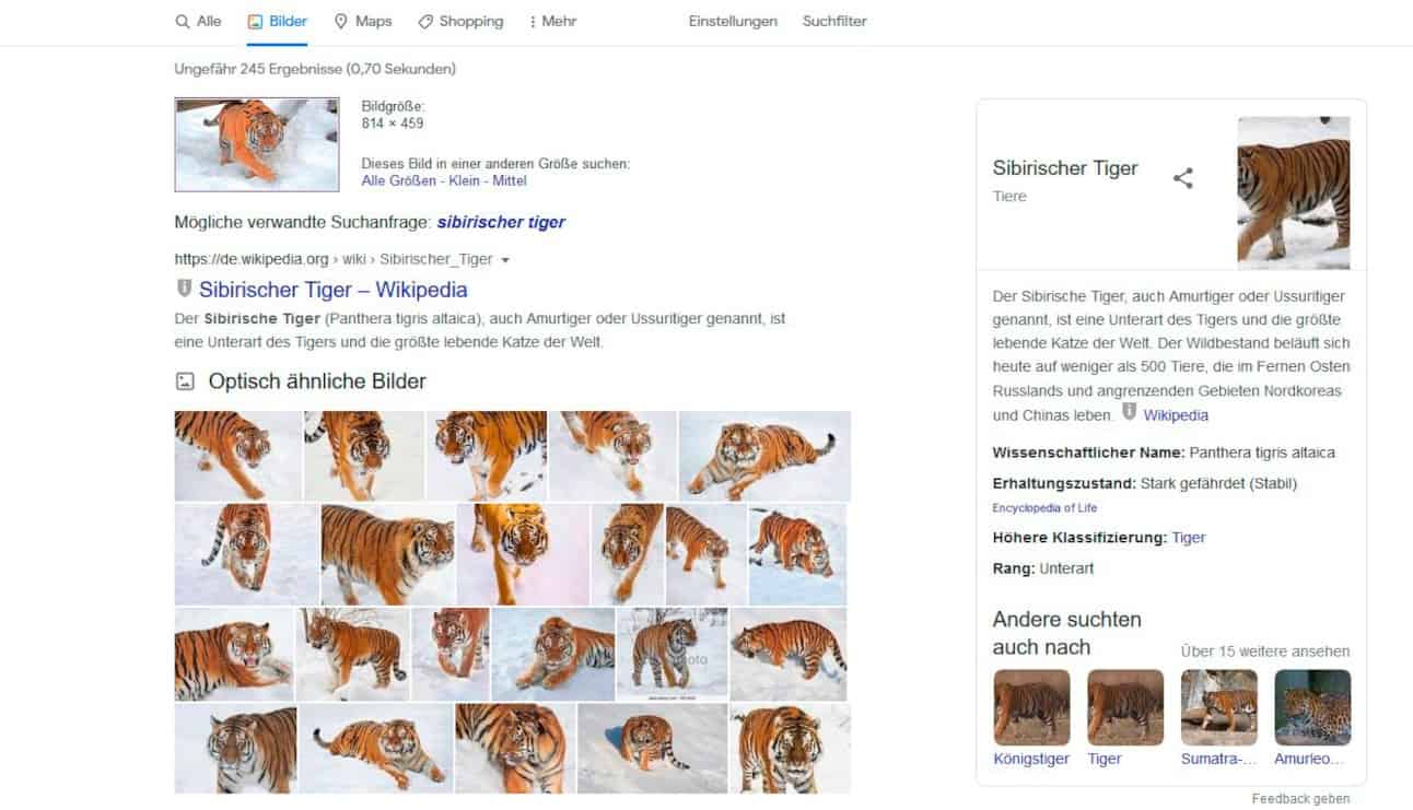 Google Suche Bilder Tipps