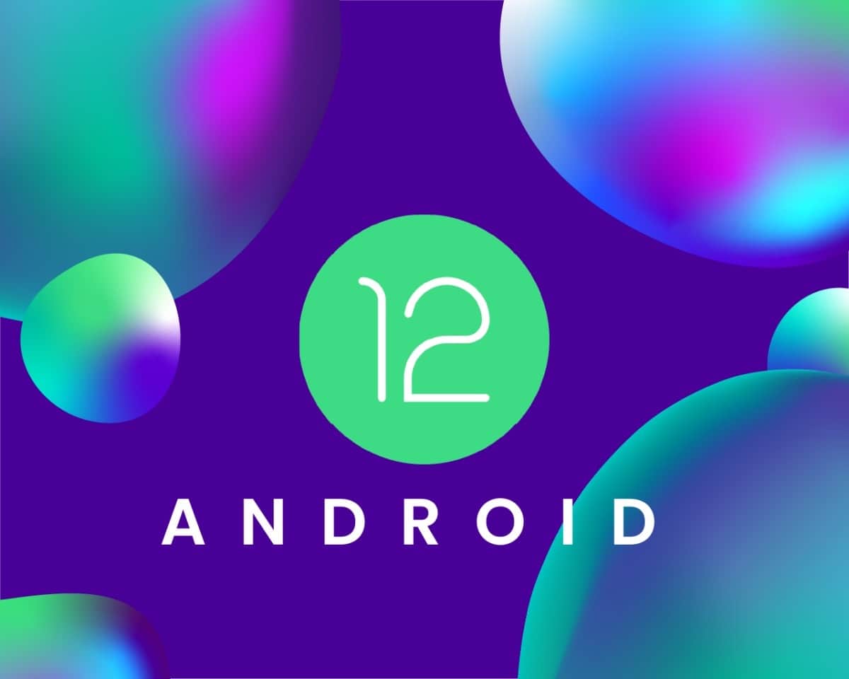 Das Logo von Android 12