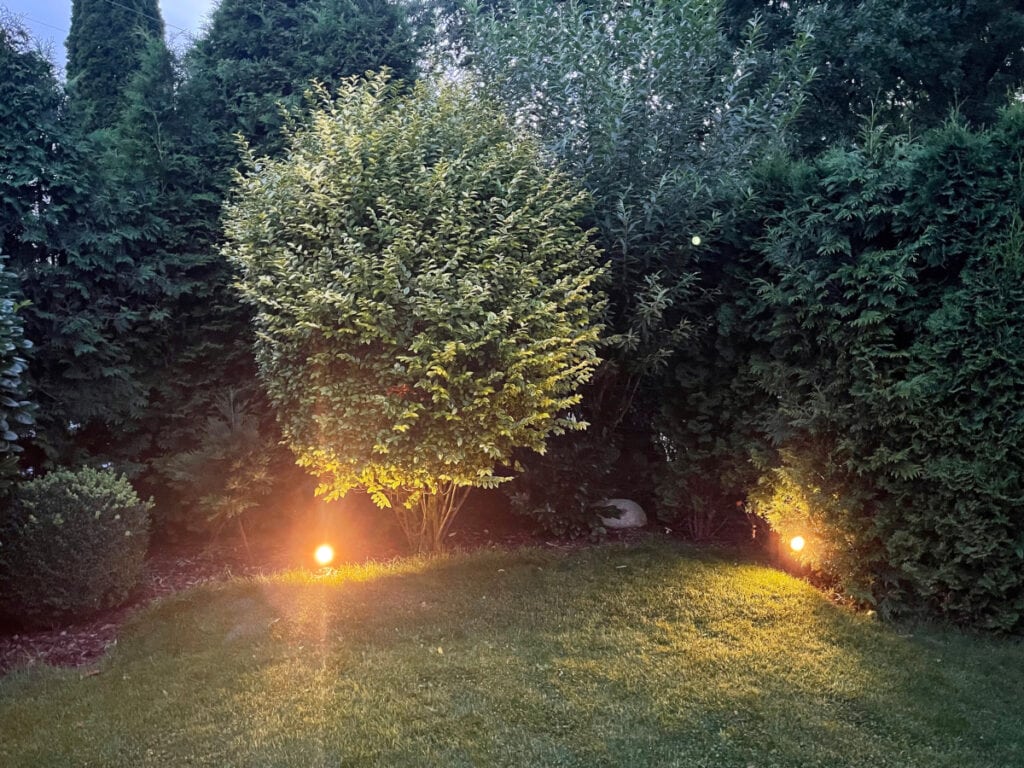 Rasen und große Büsche und Bäume bei Dämmerlicht mit warm leuchtenden Lampen am Boden