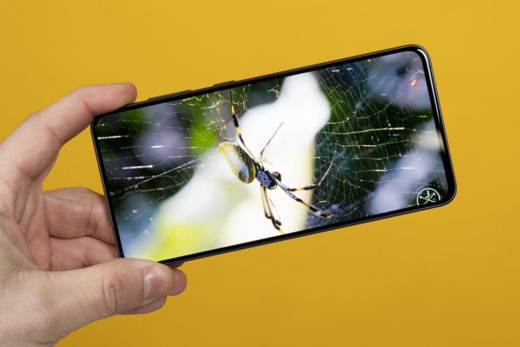 Display des Samsung Galaxy S21 FE 5G mit Spinne im Netz