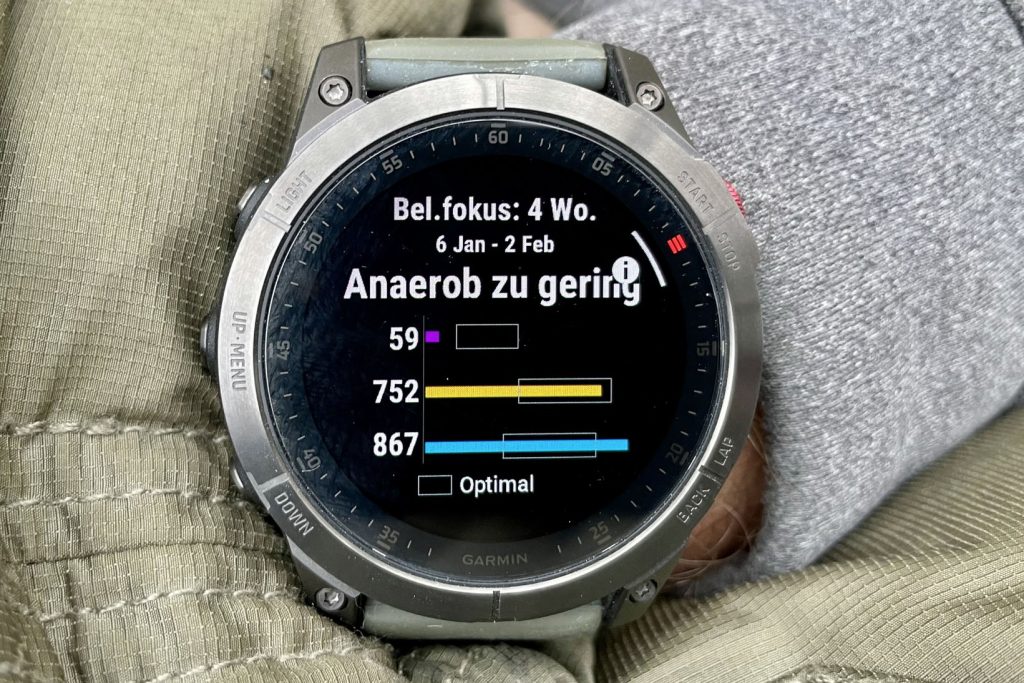 Trainingsbelastung Garmin