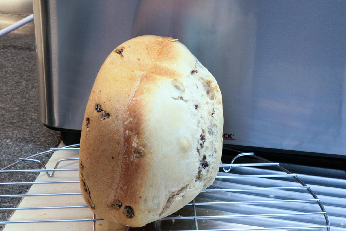 Rosinenbrot mit Gastroback-Brotbackautomat gebacken auf der Seite auf Rost