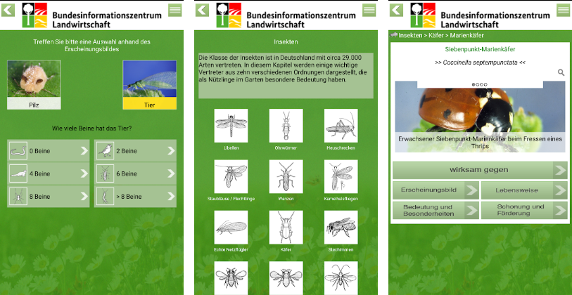 Garten-App: Nützlinge im Garten