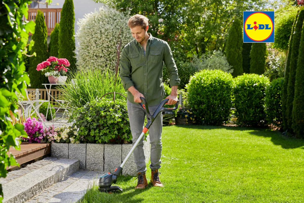 Junger Mann in grünem Hemd und heller Jeans arbeitet mit Gardena-Rasentrimmer an Rasenkante zu Steinstufen mit Lidl-Logo rechts oben