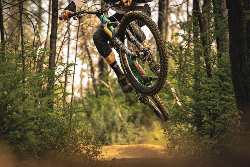 Mountainbiker bei wilder Fahrt durch den Wald