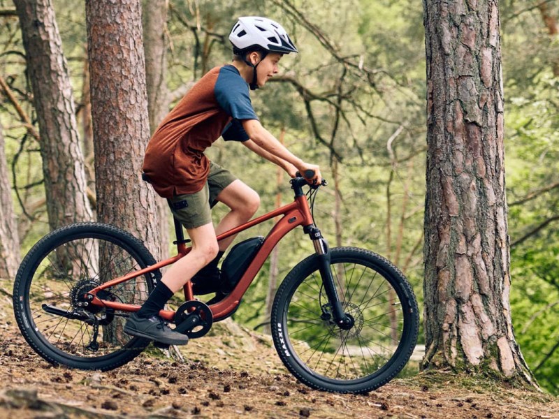 Kind auf einem E-Mountainbike im Wald