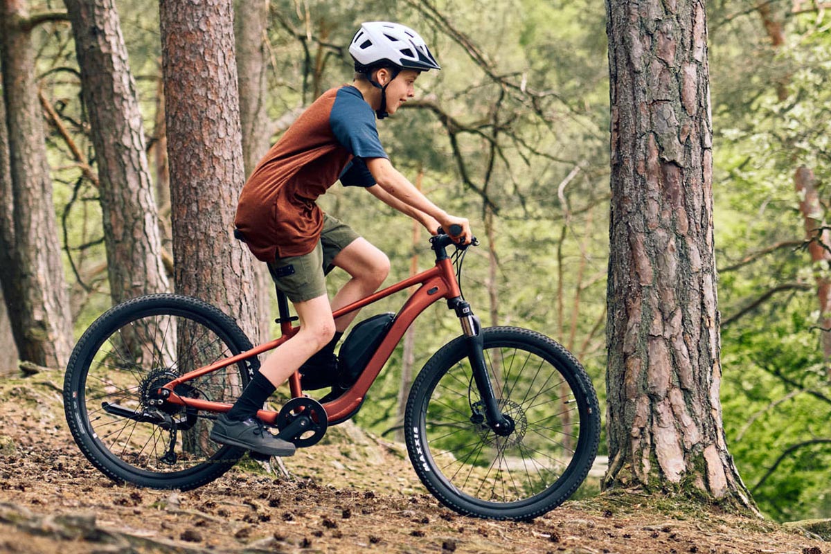 Kind auf einem E-Mountainbike im Wald