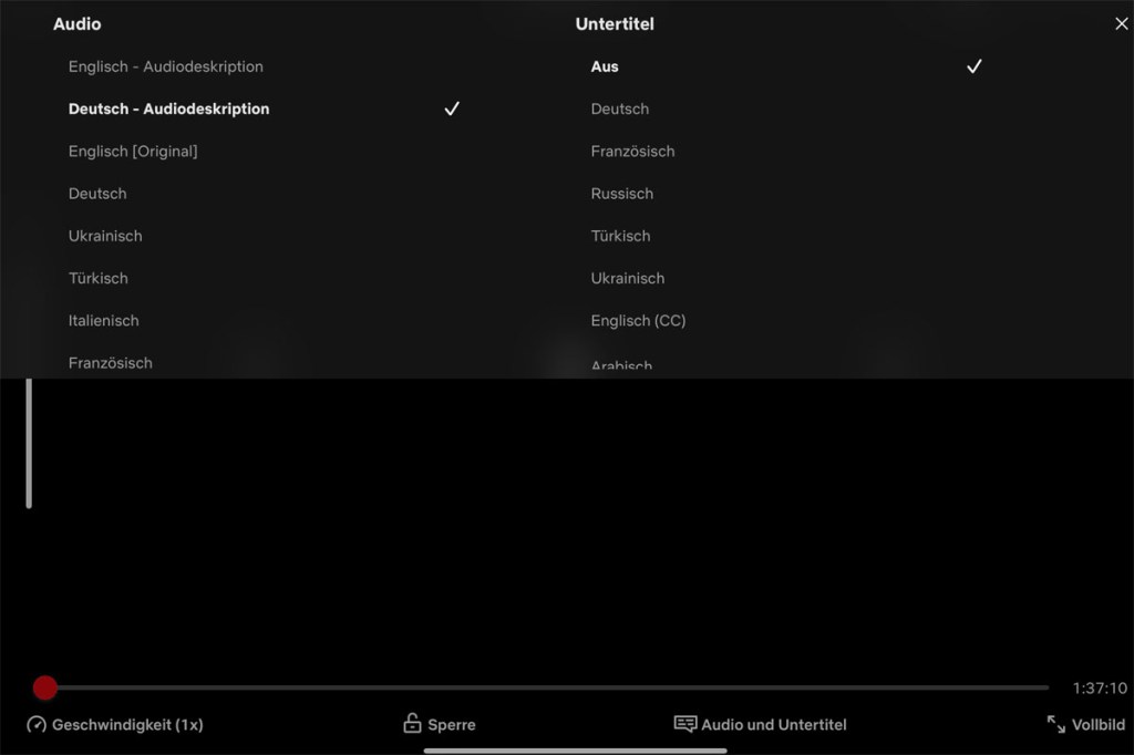 Netflix Audiodeskription einschalten