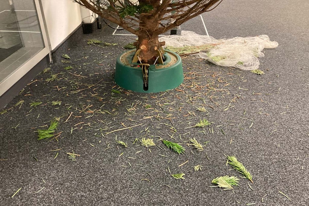 Nahaufnahme Baumständer mit Baum , viele Nadeln liegen auf dem Boden