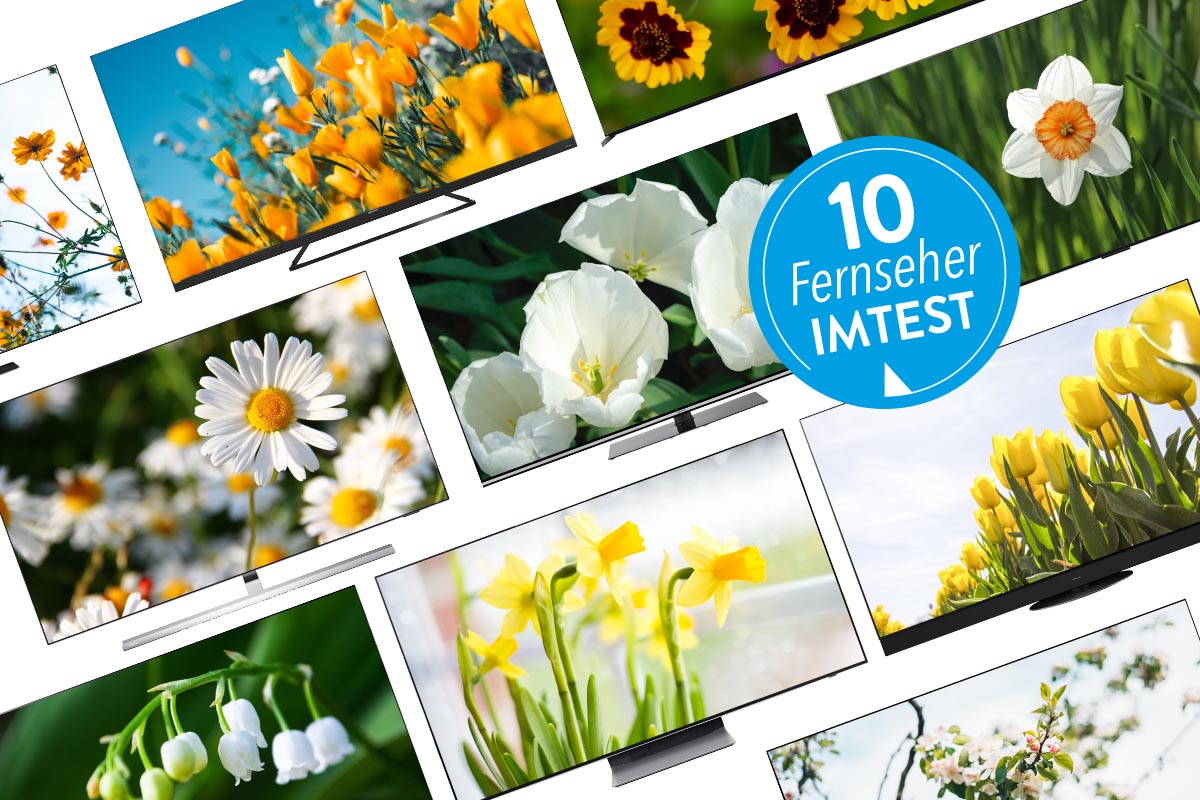 Zehn 65 Zoll Fernseher mit Hintergründen zum Thema Frühling