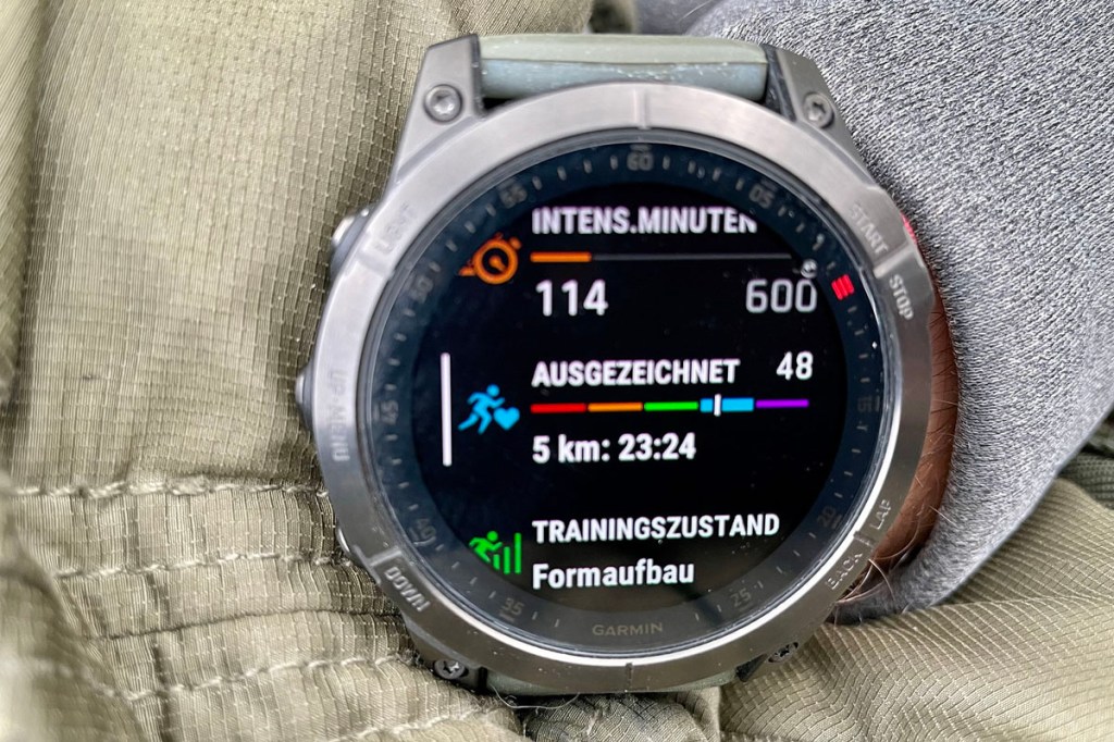 Garmin Trainingszustand