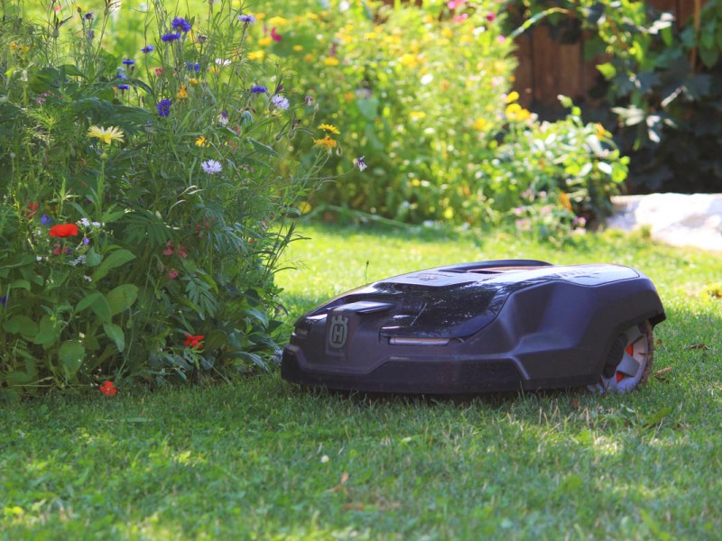 Der Husqvarna Rasenmähroboter neben einer Blumenwiese.