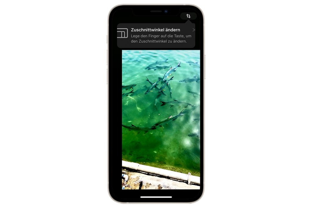 Bilder zuschneiden iOS 17