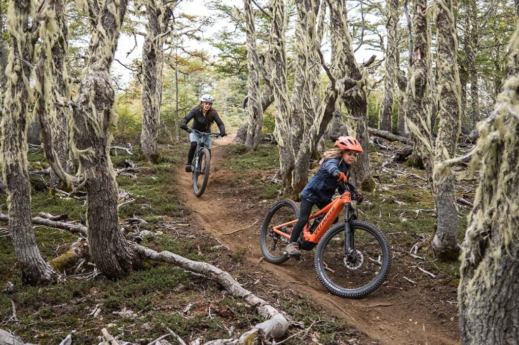 Ein Kind und eine Frau fahren mit E-bikes einen Trail durch den Wald