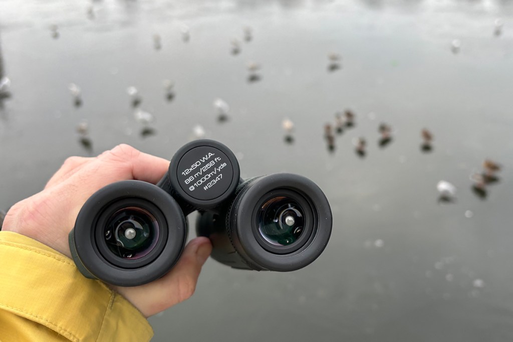 Hand mit Fernglas, dahinter eine unscharfe See-Oberfläche mit Wasservögeln.