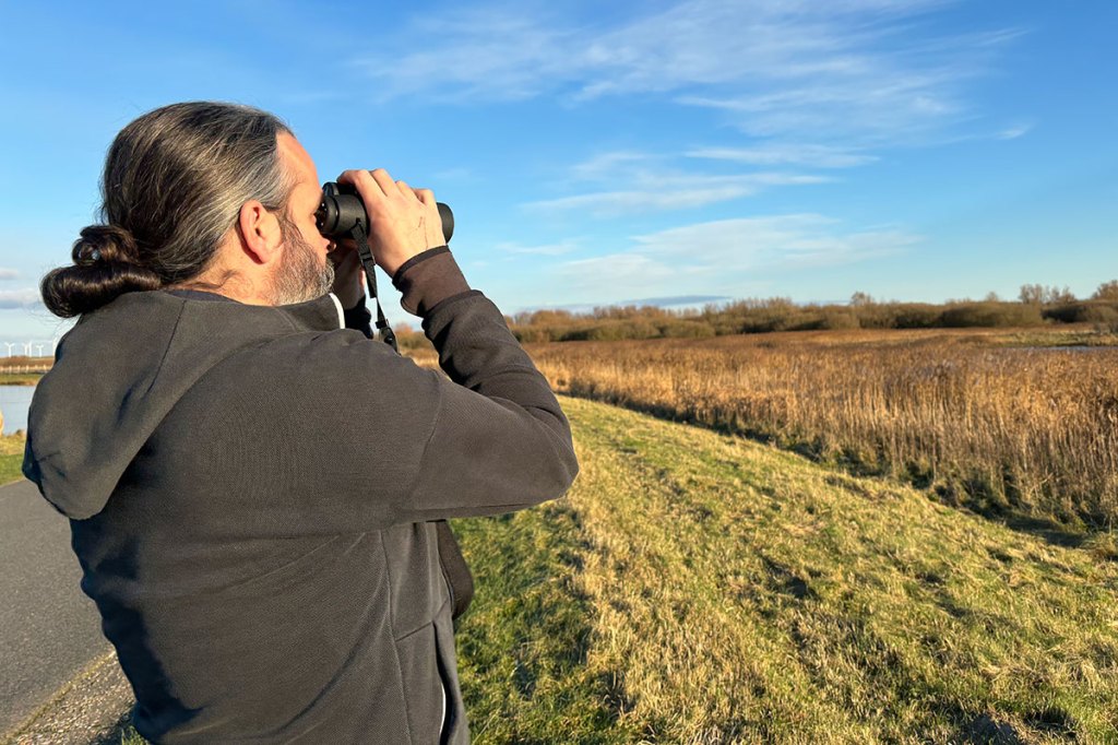 Ein Mann steht am linken Bildrand, blickt durch ein Fernglas auf ein Schilfgebiet rechts.