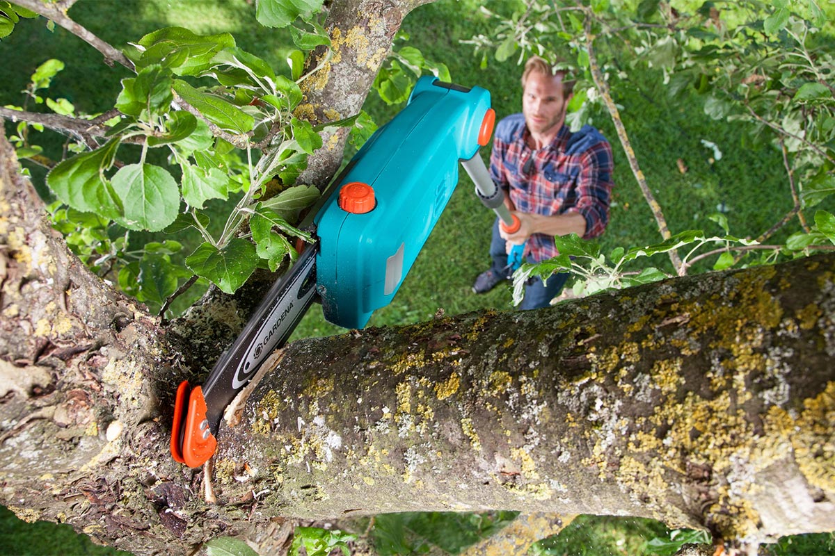 Hochentaster beim Einsatz in einem Baum.