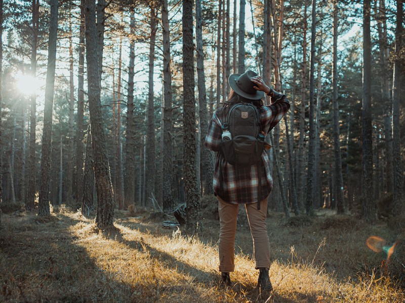 Frau im Wald mit Outdoor Ausrüstung