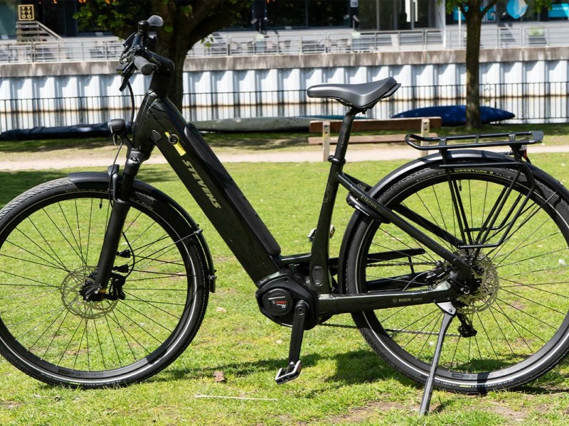 E-Bike auf einer Wiese stehend