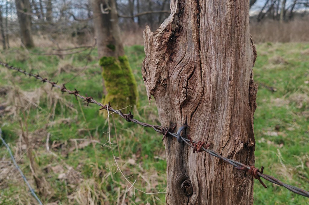 Ein Holzbalken und Stacheldraht in der Detailaufnahme.