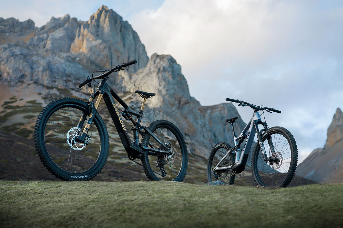 Zwei E-Mountainbikes stehen vor einer Bergkulisse.