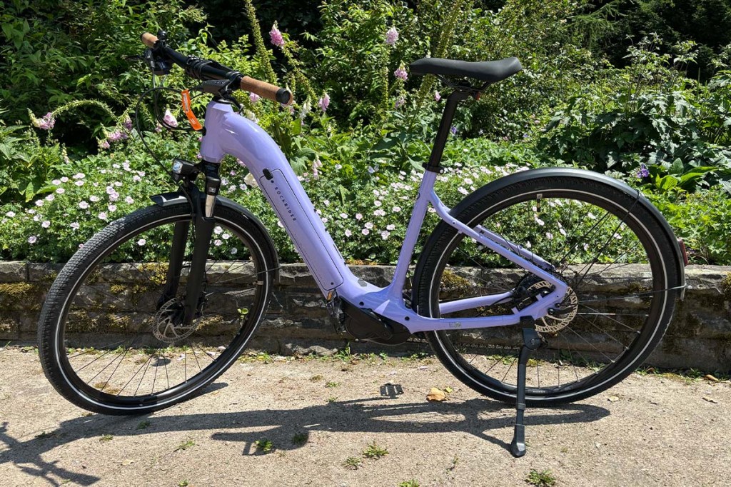 fliederfarbenes Fahrrad in einem Park stehend