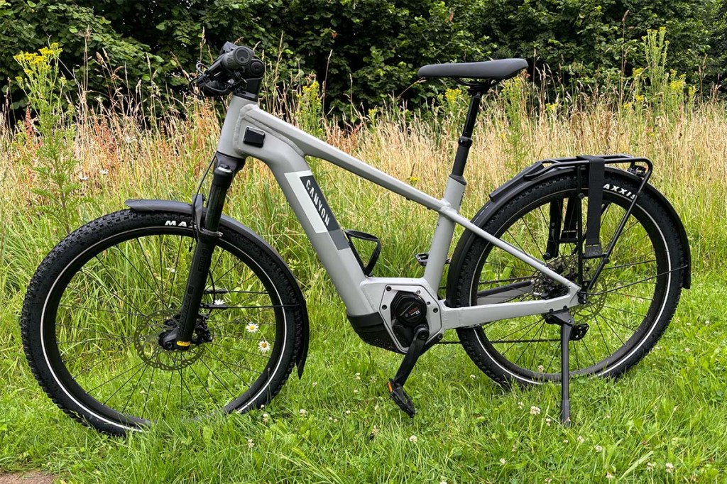 Graues E-Bike auf einer Wiese stehend