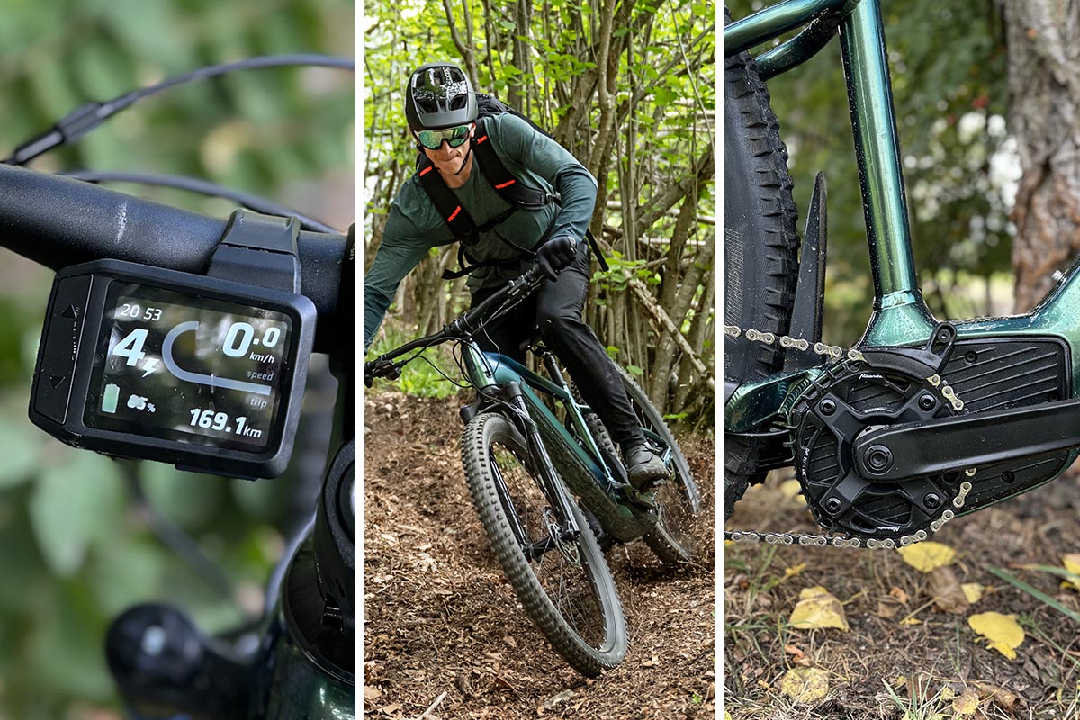 Person fährt auf einem Hardtail von Rockrider in einem Wald.