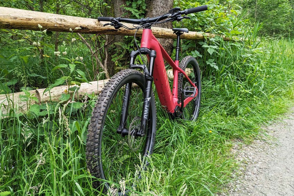 Totale E-Bike vor einem Holzzaun gelehnt, rundherum Gras