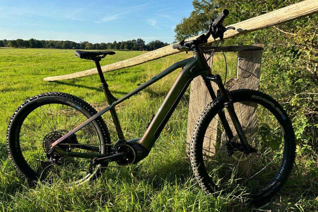 E-Bike vor einem Holzbalken auf einer Wiese lehnend