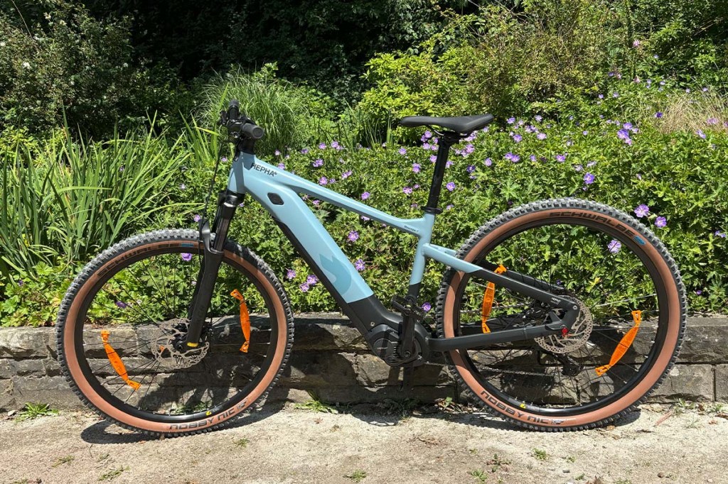 E-Bike in einem Park vor einem Blumenbeet stehend