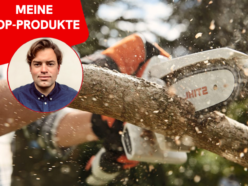 Eine Mini-Kettensäge sägt sich durch einen Ast.